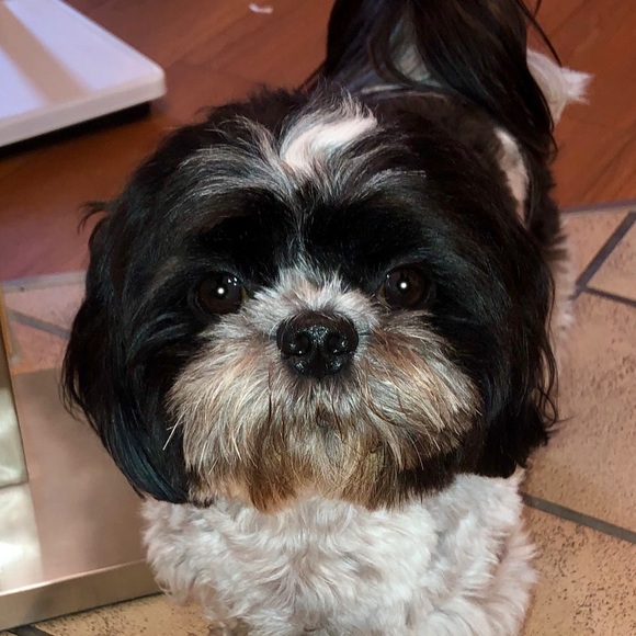 Meet your Posher, Denise - Picture 1 of 1